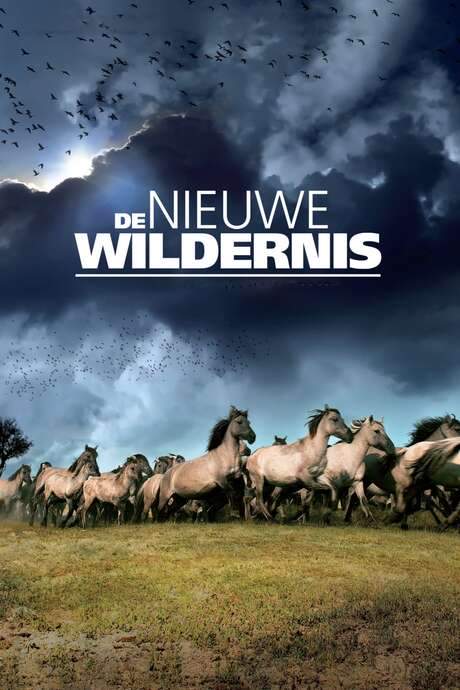 The New Wilderness